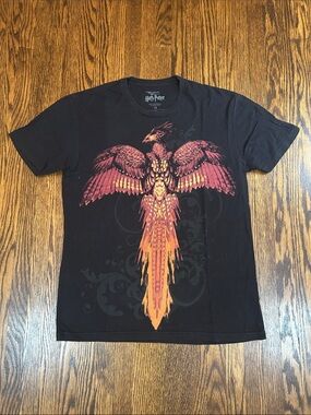 Harry Potter Order of the Phoenix Maximalist T-Shirt